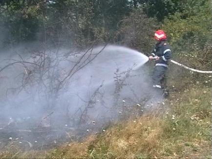 Nu puneţi foc! Pompierii bihoreni au stins 19 arderi necontrolate în doar două zile